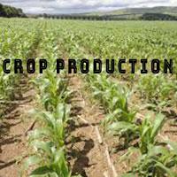 Crop Production  and Protection